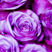 免费ddos在线攻击测试网站