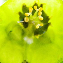 智能异常捕获的网站流量攻击